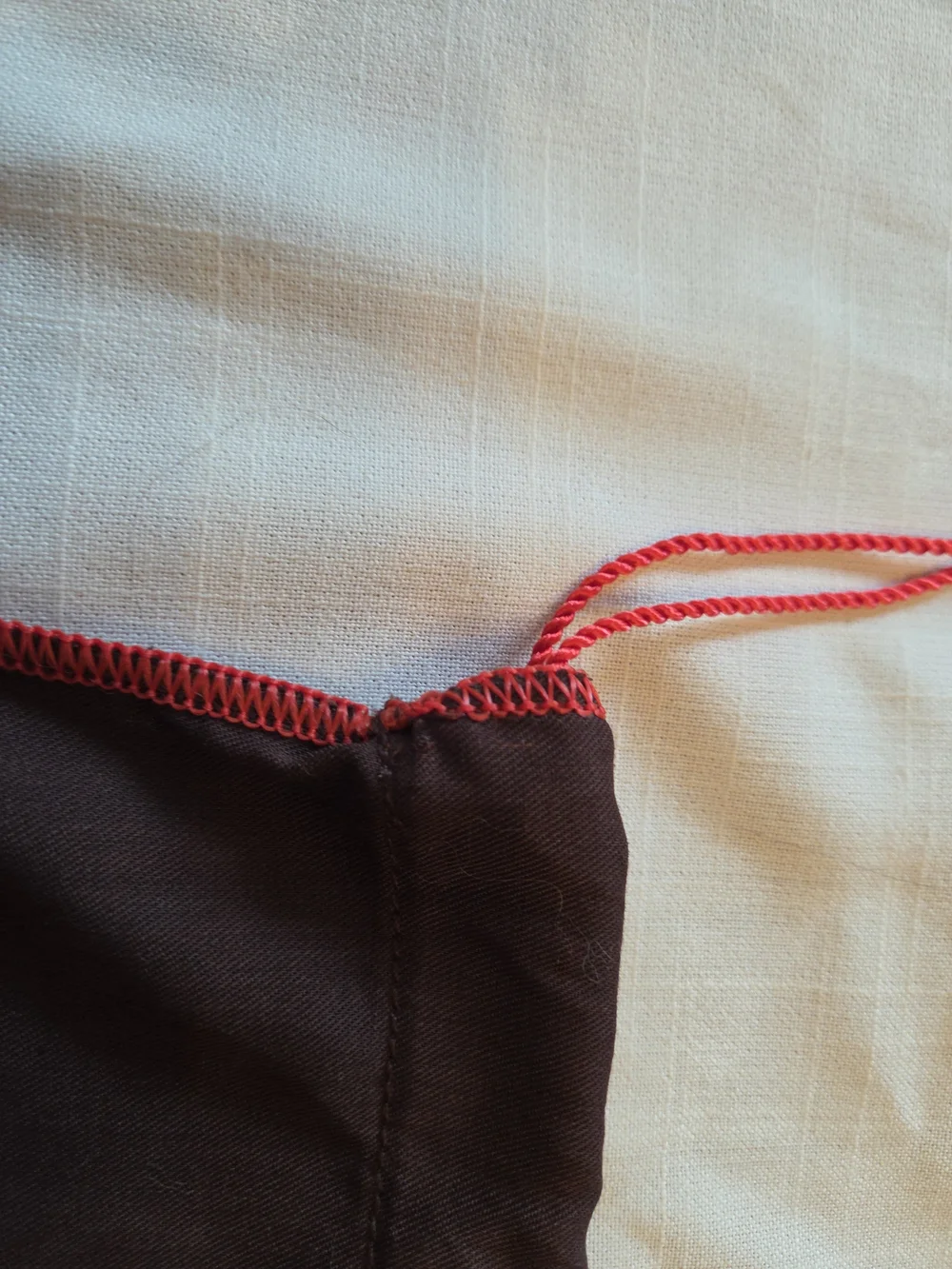COACH Dust Bag in Dark Brown